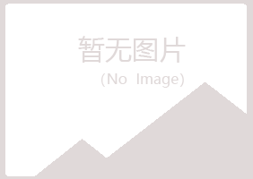 宁夏白山建筑有限公司